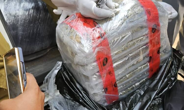 APAPA CUSTOMS, NDLEA INTERCEPT 347.5KG OF CANADIAN LOUD HIDDEN IN BAGS
